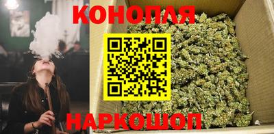 винт Обь
