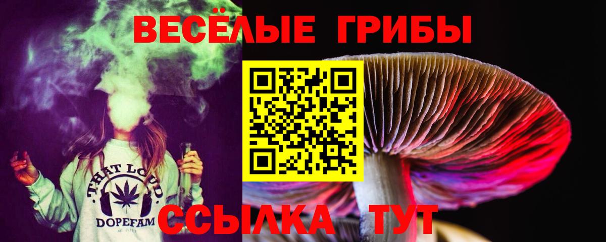 Псилоцибиновые грибы мицелий  Псилоцибиновые грибы Psilocybe  Вход с VPN  Нижнеудинск 